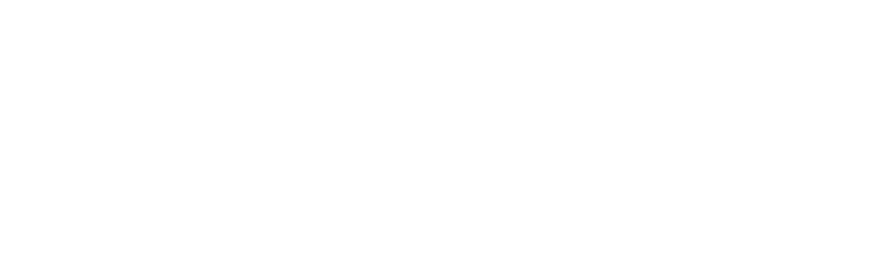 The North Sport